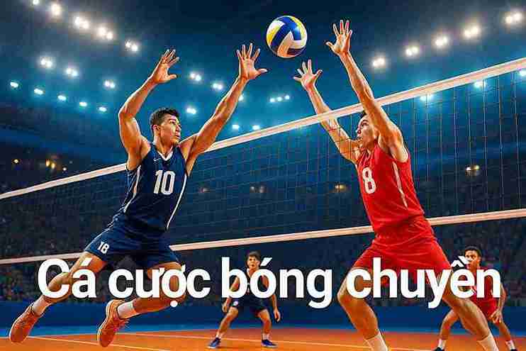 Cá cược bóng chuyền tại SHBET800 – Trải nghiệm cược hấp dẫn