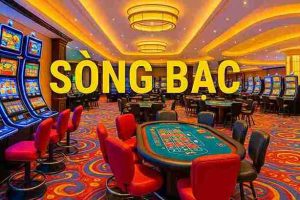 Sòng bạc SHBET800 – Địa điểm giải trí cá cược hàng đầu